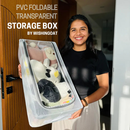 Transparent Storage Shoe Box
